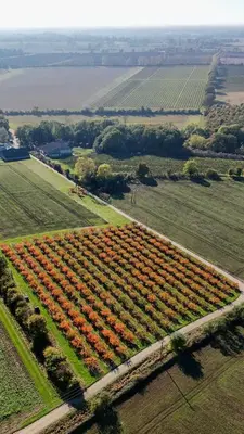 an aerial view of a farm with red plants at 'Bramley' Hut on private farm in Charsfield