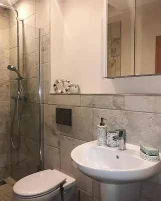 a bathroom with a toilet and a sink and a shower at Beautiful garden room in Red Lodge