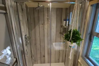 a bathroom with a shower with a plant in it at The Pheasant in Great Ellingham