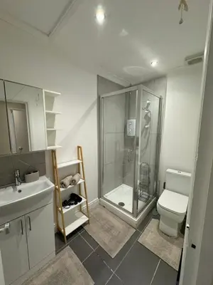 a bathroom with a shower and a toilet and a sink at 1 bed flat in central Cambridge in Cambridge