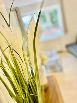 a green plant in front of a table at Modern 2 bedroom apartment in cambridge in Milton