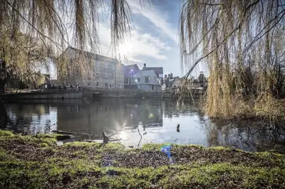a body of water with ducks in it at Fabulous Central Apt With Balcony & Parking in Cambridge