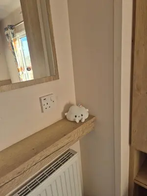 a toy pig sitting on top of a radiator at 3 Bedroom 2 Bathroom Caravan Charlie Delta in Saint Osyth
