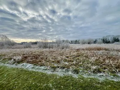 a field with frost covered grass and trees at Magog View in Sawston