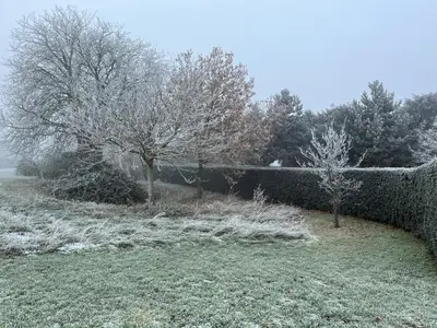 two trees in a yard covered in snow at Magog View in Sawston