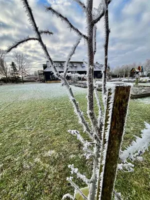 a tree covered in snow in a field at North Farm fits 1-6 people in Sawston