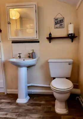 a bathroom with a white toilet and a sink at Deben Cottage, Central Woodbridge in Woodbridge