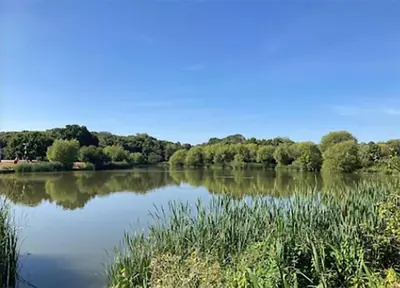a view of a lake with trees in the background at Modern 3 Bed House In Essex By DLuxoria Short Lets & Serviced Accommodation With Pet Friendly, Free WiFi & Free Parking in Basildon