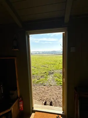 a window view of a field from a house at 'Russet' Hut on fruit farm in Charsfield