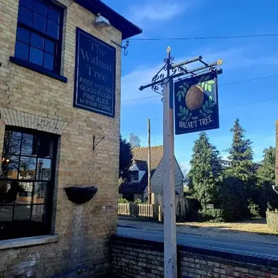 the walnut tree