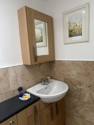 a bathroom with a sink and a mirror at Dolphin cottage in Nevendon