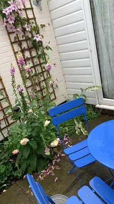 a blue chair next to a table and flowers at Dolphin cottage in Nevendon