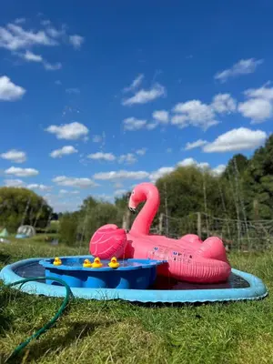 a inflatable pink swan on a table in the grass at Farm woodland riverview cabin bbq firepit pet friendly in Hertford