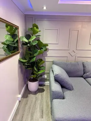 a living room with a couch and a plant at Paramount Luxe Loft- 3 bedrooms, 4 beds cosy home in Laindon