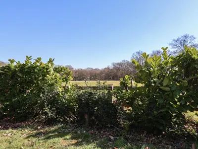 a row of bushes with a field in the background at The Woodshed in Clacton-on-Sea
