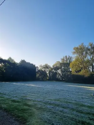 a large field with grass and trees in the background at Secluded 16th Century Farmhouse with private grounds in Hatfield Peverel