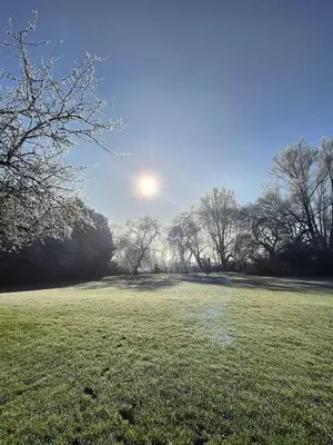 a field of grass with the sun in the background at Secluded 16th Century Farmhouse with private grounds in Hatfield Peverel