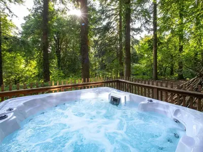 a hot tub in a backyard with trees in the background at Thorpe Forest Cabins - Forest Holidays in Thetford