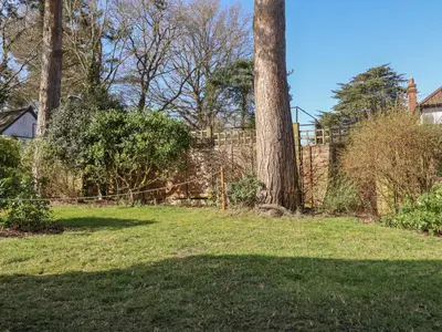 a yard with a tree and a fence at West End in Woodbridge