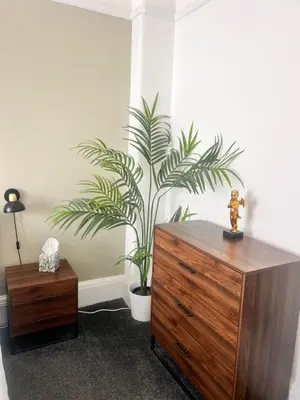 a living room with a dresser and a potted plant at Ocean Breeze in Thorpe Bay
