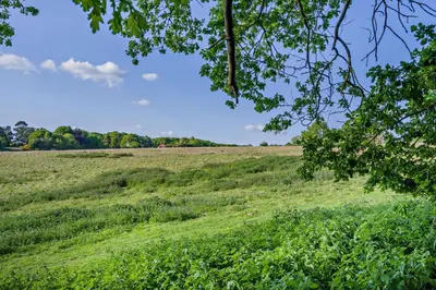 a field of green grass with a tree in the foreground at 2 Bed in Holbrook oc-31111 in Holbrook