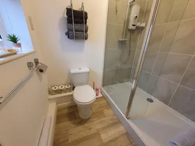 a bathroom with a toilet and a shower at The Nest in Needingworth
