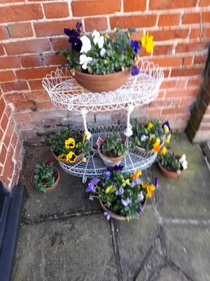 a white plant stand with some flowers in it at Wisteria Barn in Harleston