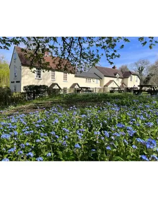 a house with a field of blue flowers in front of it at Black Horse in Brent Pelham