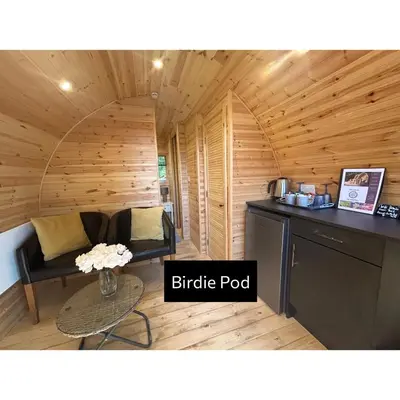 a log cabin with a couch and a table at Forrester Park Glamping Pods - Eagle Pod and Birdie Pods in Great Totham