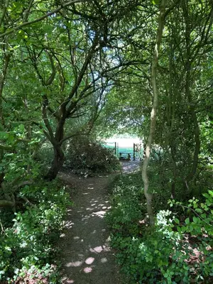 a path through a forest with trees and flowers at The Annexe Long Melford in Long Melford