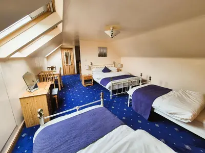 two beds in a room with blue carpet at Thaxted Bed & Breakfast and Accommodation in Thaxted