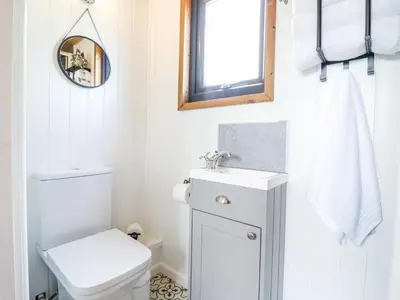 a bathroom with a toilet and a sink and a mirror at Woodpecker in Cambridge