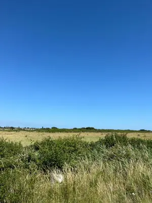 a field of grass with a blue sky in the background at Verb View 6 Berth Caravan St Osyth Clacton-On-Sea in Saint Osyth