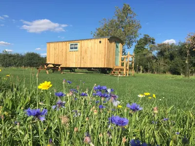 a wooden cabin in a field with flowers at Shepherds Hut 5 in Woodbridge