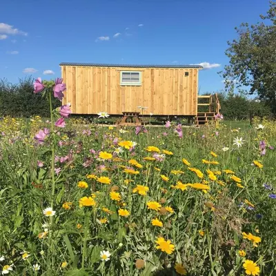 a building in the middle of a field of flowers at Shepherds Hut 5 in Woodbridge