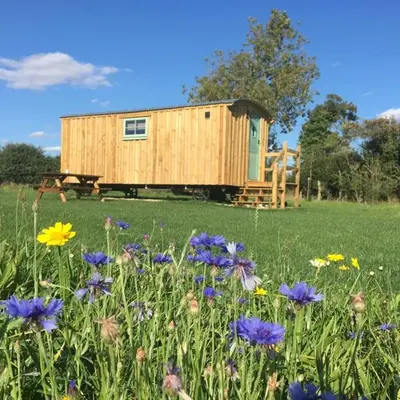 Shepherds Hut 5