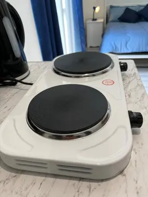 a stove with two black plates on top of it at Dolly Studio in Colchester