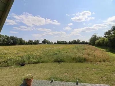a large field of grass with a potted plant at Oak Tree in Woodbridge