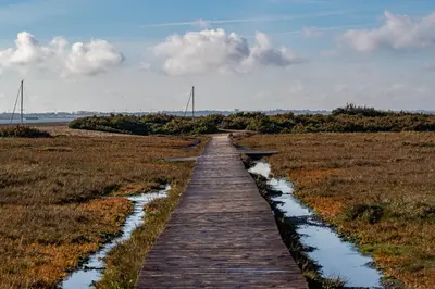 a wooden path through a field with water at The White Hart Inn in West Mersea