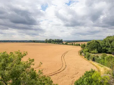 an open field with a dirt road and trees at Finest Retreats - Hollybush Studio in Knebworth