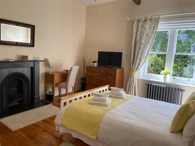 a bedroom with a bed with a fireplace and a television at The Old Vicarage BandB