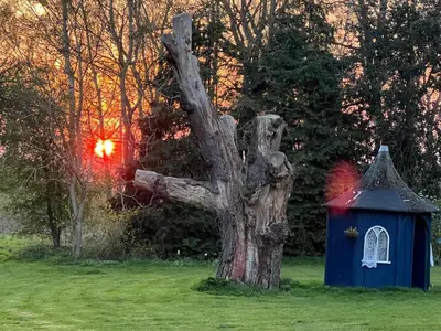 a blue dog house next to a tree at Beightons Bed and Breakfast in Bury Saint Edmunds