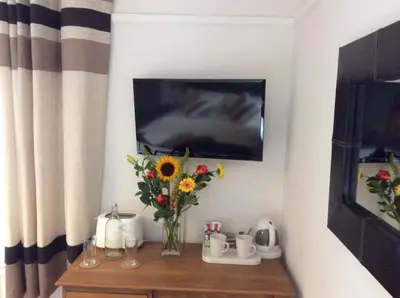 a vase of flowers on a table with a tv at Beightons Bed and Breakfast in Bury Saint Edmunds