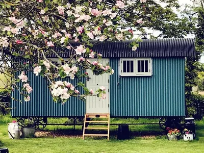 a tiny house with a ladder and a tree with pink flowers at The Scrumpy Shepherd, Brandeston in Blundeston