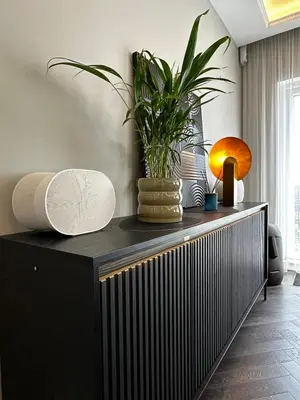 a black cabinet with a plant on top of it at Canewdon Rd Luxury Accommodation in Westcliff On Sea