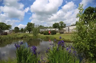a pond with purple flowers in front of a building at Lovely Caravan At Carlton Meres Holiday Park Ref 60034O in Saxmundham