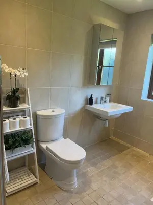 a bathroom with a toilet and a sink at Cottage nestled in the heart of a stunning Suffolk Village in Chediston