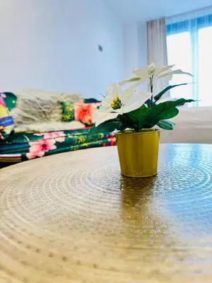 a potted plant sitting on top of a table at Gorgeous two bedroom luxury Apartment sleeps 6 in Brentwood