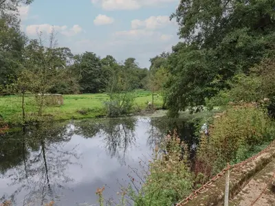 a pond in the middle of a field with trees at Duchess Cottage in Woodbridge