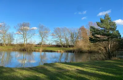 a view of a river with trees in the background at Woodstock Park The Tawny Lodge in Wereham